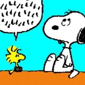 Meet your Posher, Joan